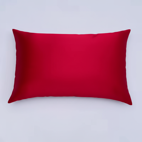 100% Mulberry Silk Pillowcase | Queen Size