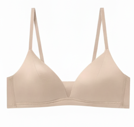 100% Mulberry Silk Bra For Women (Pack Of 2)